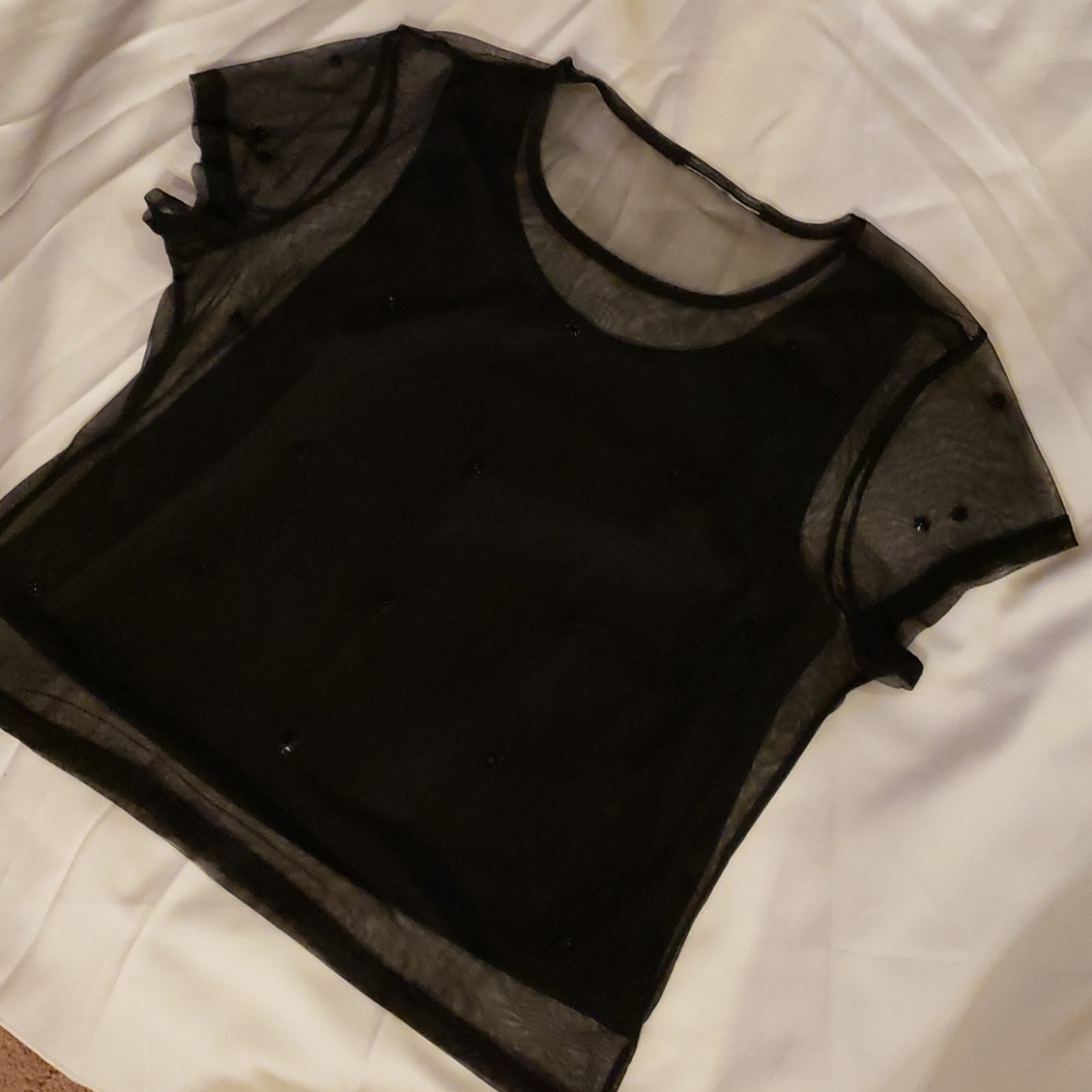 TOP - Picture 12 of 16